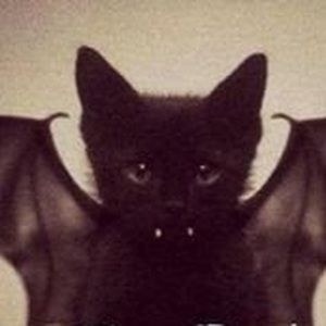 Meet your Posher, Indica